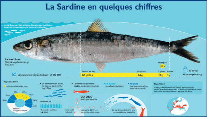 L’info...Graphie L’info...Graphie