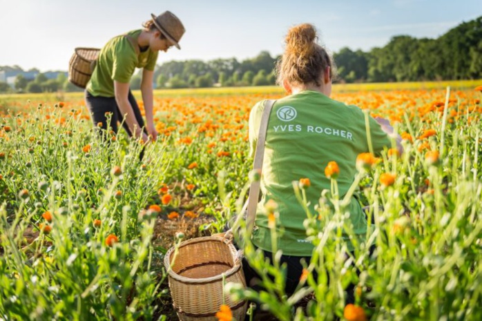 Photo: droits réservés / Yves Rocher Photo: droits réservés / Yves Rocher
