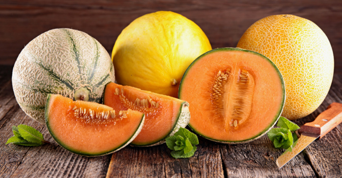 Exportations record de melons marocains vers l'Espagne : 10 Millions de dollars générés en 2023