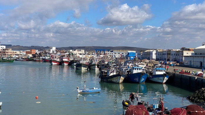 Port de Larache: Hausse de 7% des débarquements de pêche à fin octobre (ONP)