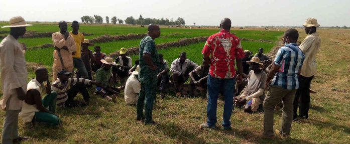 Résilience du secteur agricole africain : Les tendances qui façonnent l’avenir