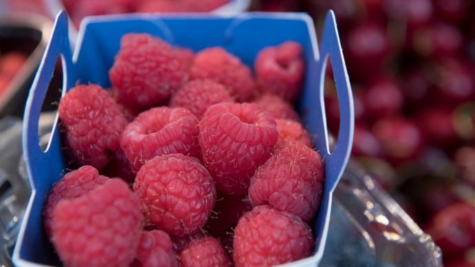 Le Maroc, deuxième fournisseur de framboises à la France Le Maroc, deuxième fournisseur de framboises à la France