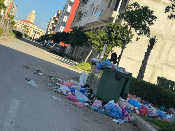 Photo: L'Opinion/DR. La pestilence et la terreur gagnent du terrain à quelques kilomètres de la plage de Oued Cherrat. Photo: L'Opinion/DR. La pestilence et la terreur gagnent du terrain à quelques kilomètres de la plage de Oued Cherrat.