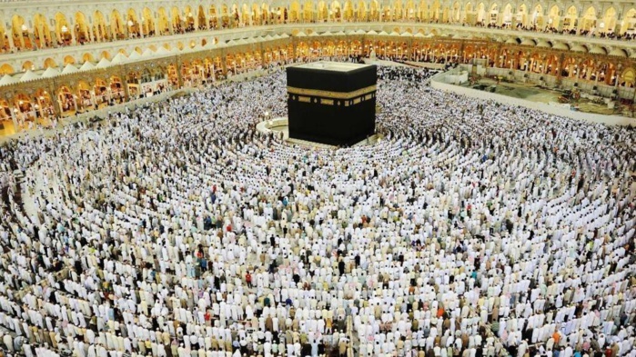 Hajj 2024 : Le ministère du Tourisme dévoile la liste des agences de voyage autorisées Hajj 2024 : Le ministère du Tourisme dévoile la liste des agences de voyage autorisées