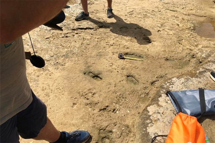 Découverte de 85 empreintes d’Homo-Sapiens de 100.000 ans au Maroc. Découverte de 85 empreintes d’Homo-Sapiens de 100.000 ans au Maroc.