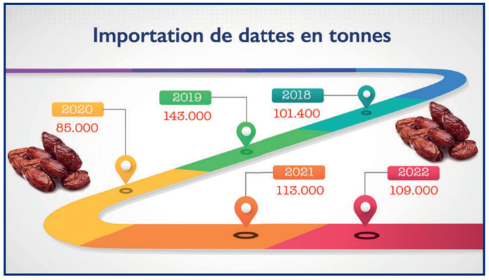 Stress hydrique : A l’approche de Ramadan, les dattes se font rares ! [INTÉGRAL]