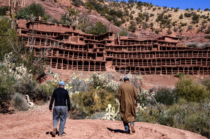 Apiculture : À la veille du Ramadan, les ruches s’effondrent [INTÉGRAL]