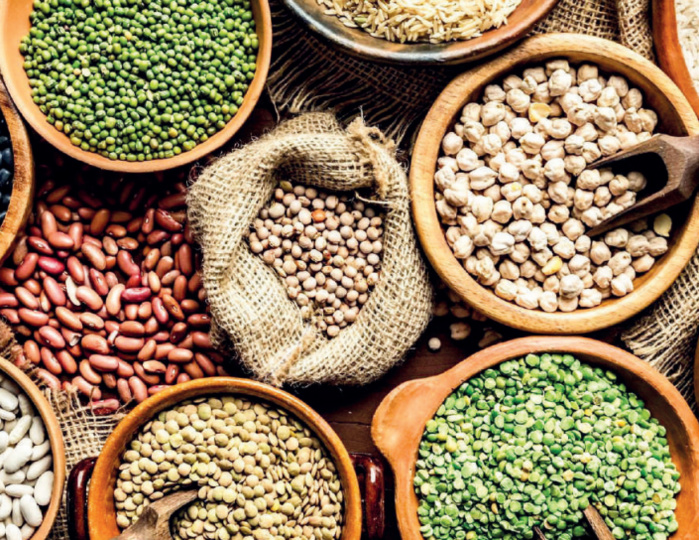 La culture des légumineuses vit une véritable crise au niveau national. La culture des légumineuses vit une véritable crise au niveau national.