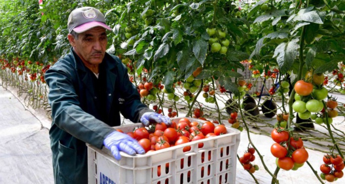 Accord agricole : la Comader dénonce la stigmatisation des produits marocains en Europe