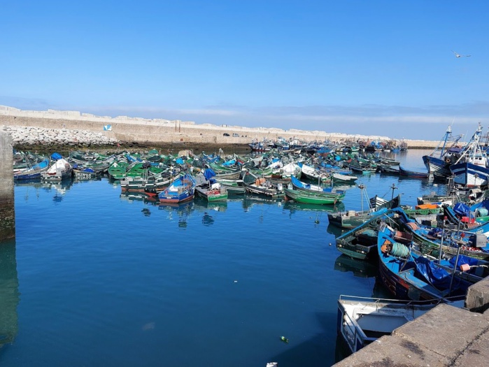 Safi : Une hausse de plus de 100% en poids des Produits de la pêche commercialisés en janvier Safi : Une hausse de plus de 100% en poids des Produits de la pêche commercialisés en janvier