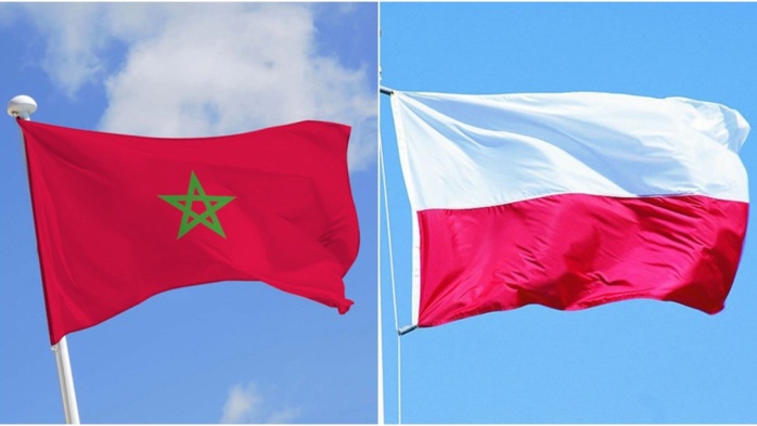 Maroc-Pologne : le commerce continue son progrès avec une nouvelle hausse des échanges en 2023 Maroc-Pologne : le commerce continue son progrès avec une nouvelle hausse des échanges en 2023