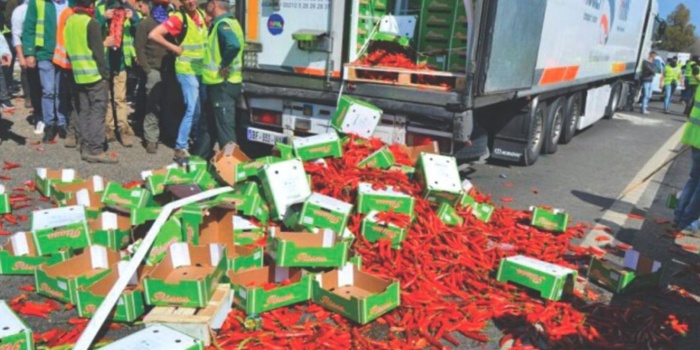 Attaques contre les produits agricoles marocains: La COMADER saisit la Justice espagnole Attaques contre les produits agricoles marocains: La COMADER saisit la Justice espagnole