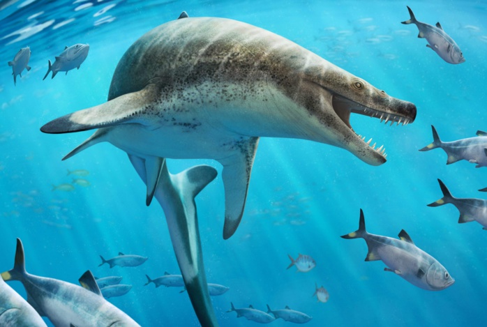 Un fossile de lézard préhistorique effrayant vient d’être retrouvé au Maroc