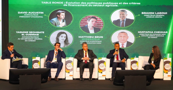Brahim Laroui : « Au Maroc, l’oléiculture c'est possible et c'est rentable »