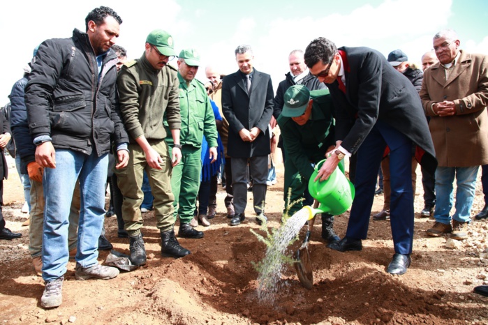 ABL Aviation : plantation de 55.000 cèdres sur 100 hectares au Moyen Atlas ABL Aviation : plantation de 55.000 cèdres sur 100 hectares au Moyen Atlas