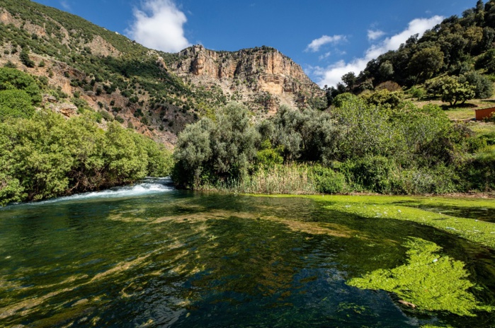 Parc national d’Ifrane : Appel à manifestation d’intérêt pour l’aménagement et la valorisation écotouristique Parc national d’Ifrane : Appel à manifestation d’intérêt pour l’aménagement et la valorisation écotouristique