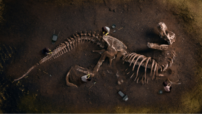 Paléontologie : Une biodiversité insoupçonnée de dinosaures à Draâ Tafilalet