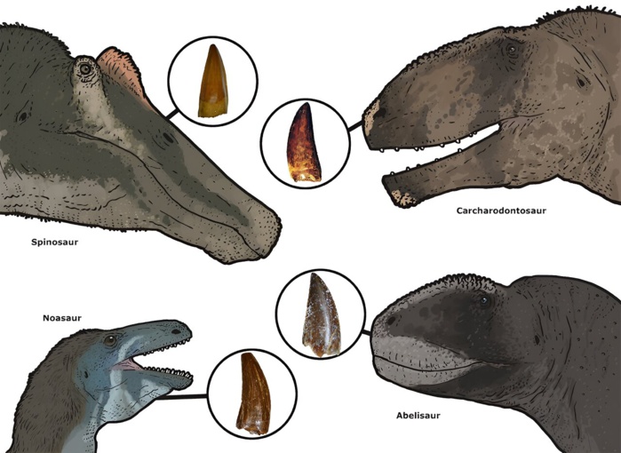 Paléontologie : Une biodiversité insoupçonnée de dinosaures à Draâ Tafilalet Paléontologie : Une biodiversité insoupçonnée de dinosaures à Draâ Tafilalet