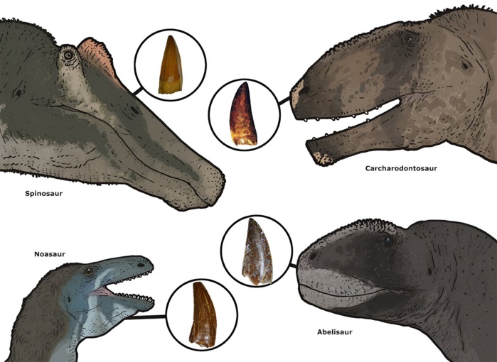 Paléontologie : Une biodiversité insoupçonnée de dinosaures à Draâ Tafilalet