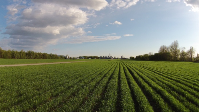 Région TTA: Les dernières précipitations ont un impact positif sur les cultures d'automne et d'hiver