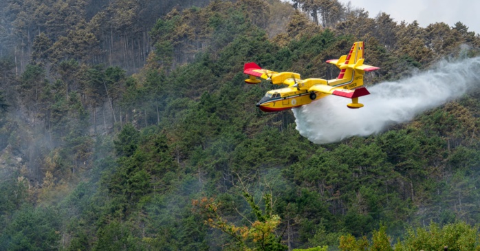Feux de forêts: Le Maroc renforce sa flotte de canadairs Feux de forêts: Le Maroc renforce sa flotte de canadairs