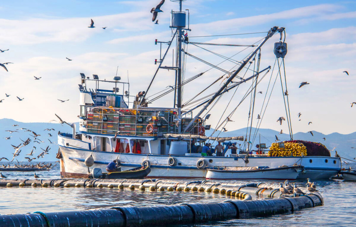 128 navires de l’UE étaient autorisés à pêcher dans les eaux marocaines.