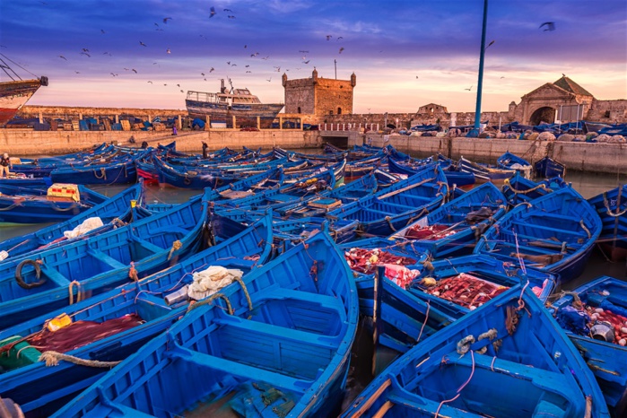 Port d’Essaouira : Hausse de 235% des débarquements de la pêche côtière et artisanale en février dernier Port d’Essaouira : Hausse de 235% des débarquements de la pêche côtière et artisanale en février dernier