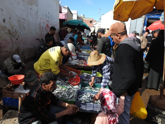 El Jadida : Boom des marchés de la ville à l'occasion de ce mois béni de Ramadan El Jadida : Boom des marchés de la ville à l'occasion de ce mois béni de Ramadan