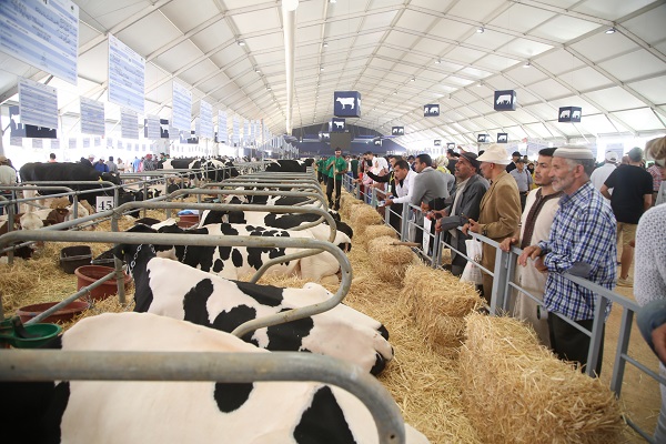 16ème édition de SIAM : Le ministère de l'Agriculture du Brésil aura un stand