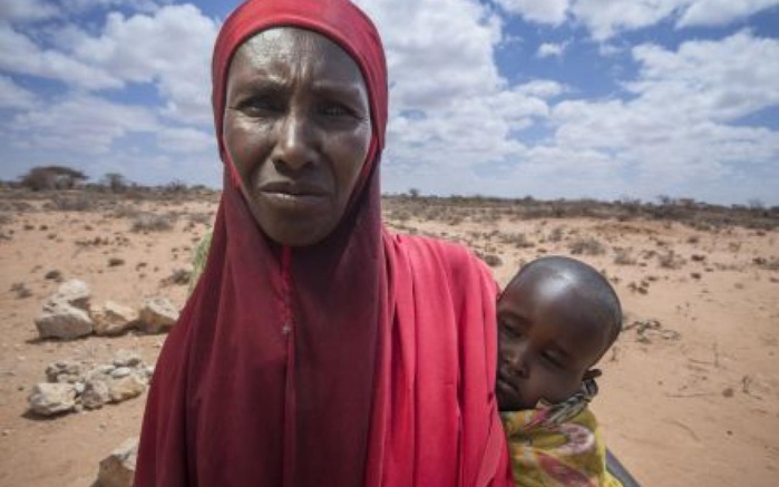 Sécheresse en Afrique australe : près de 20 millions de personnes confrontées à la faim Sécheresse en Afrique australe : près de 20 millions de personnes confrontées à la faim