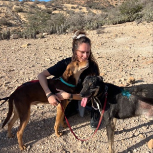 Lucy Austin, fondatrice de l’association Morocco Animal Aid, nous présente ses recommandations pour lutter efficacement contre la propagation des chiens errants. Lucy Austin, fondatrice de l’association Morocco Animal Aid, nous présente ses recommandations pour lutter efficacement contre la propagation des chiens errants.