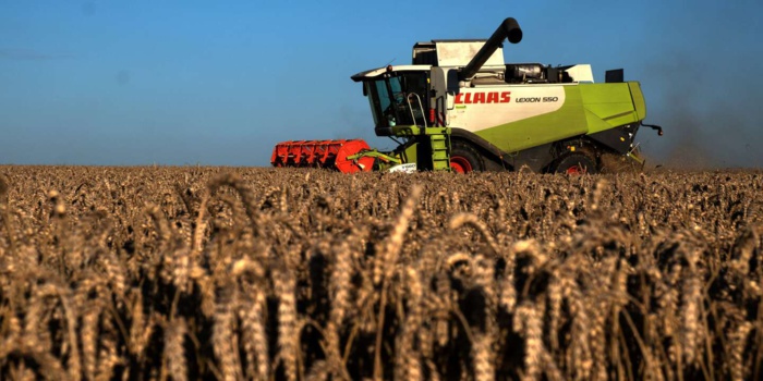 Blé : Le Maroc prévoit l’importation de 5 millions de tonnes Blé : Le Maroc prévoit l’importation de 5 millions de tonnes