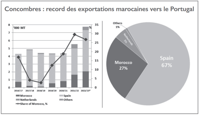 Interview avec l’Ambassadeur du Portugal : Coupe du Monde, interconnexion électrique, liaison aérienne… zoom sur les préparatifs maroco-portugais Interview avec l’Ambassadeur du Portugal : Coupe du Monde, interconnexion électrique, liaison aérienne… zoom sur les préparatifs maroco-portugais