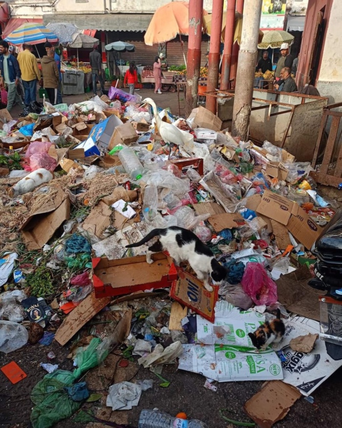 Photo: droits réservés. Photo: droits réservés.