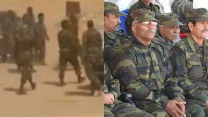 Photo: droits réservés. Photo: droits réservés.