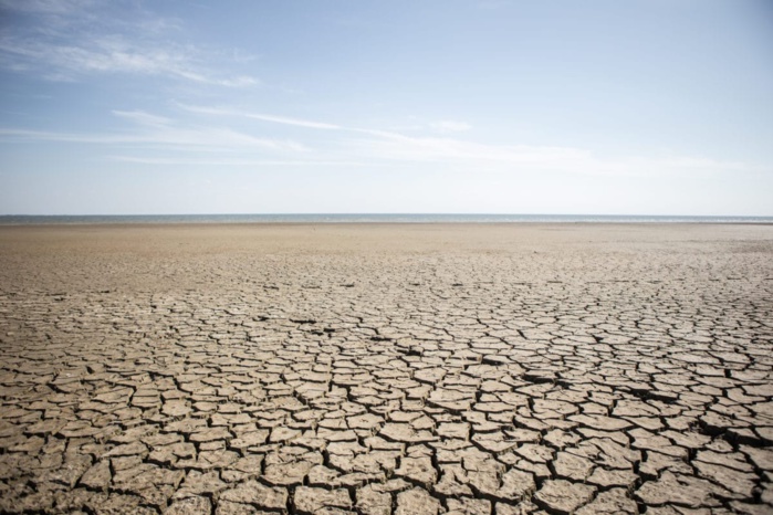 Rapport : La Tunisie, 5e pays au monde le plus vulnérable au risque accru de sécheresse