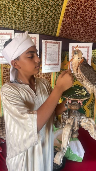 Doukkala : Art de la Fauconnerie: La relève est dans de bonnes main ! Doukkala : Art de la Fauconnerie: La relève est dans de bonnes main !