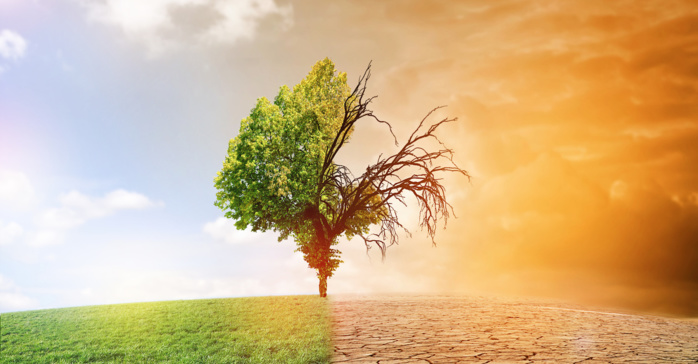 Transition climatique : Impact grandissant sur les risques financiers des banques ! Transition climatique : Impact grandissant sur les risques financiers des banques !