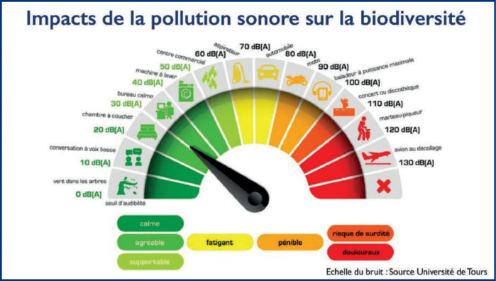 Pollution sonore : Ce vice caché et illégal qui dévalue l’immobilier au Maroc [INTÉGRAL]