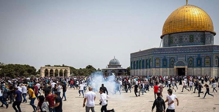 Le Maroc dénonce vigoureusement l'incursion par certains extrémistes et leurs partisans dans l'esplanade de la Mosquée Al-Aqsa Le Maroc dénonce vigoureusement l'incursion par certains extrémistes et leurs partisans dans l'esplanade de la Mosquée Al-Aqsa