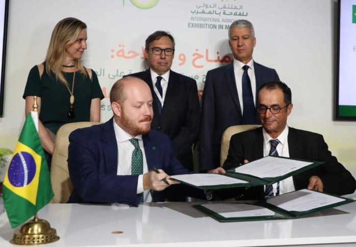 Maroc-Brésil : Vers un renforcement de la coopération commerciale Maroc-Brésil : Vers un renforcement de la coopération commerciale