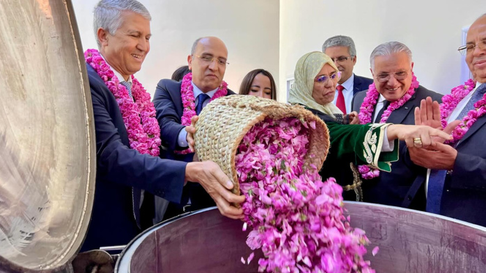 Photo: droits réservés. Photo: droits réservés.