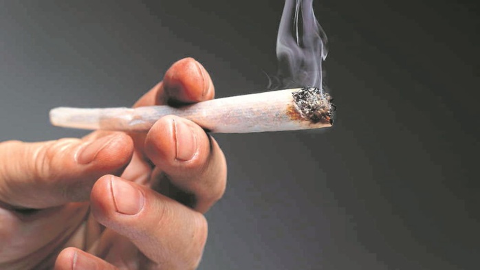 Tanger: cinq personnes interpellées pour trafic de drogue et de psychotropes Tanger: cinq personnes interpellées pour trafic de drogue et de psychotropes