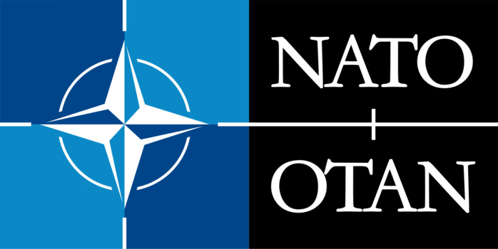 OTAN : Cameron appelle les membres de l'Alliance à augmenter leurs dépenses militaires