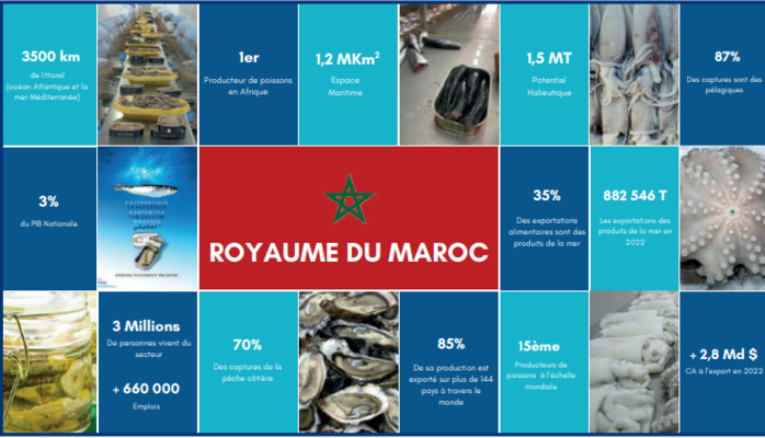 FENIP : Cap sur la durabilité de l’Industrie halieutique [INTÉGRAL]