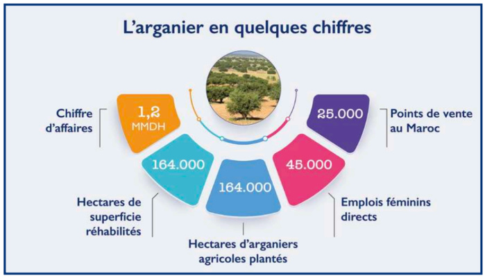 Journée Internationale de l’Arganier : Une espèce endémique à l’épreuve de la sécheresse [INTÉGRAL]