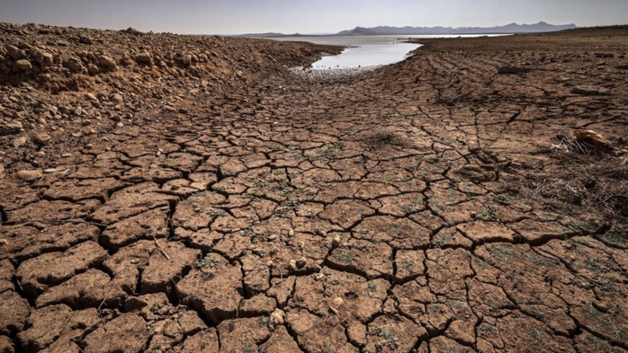 Défis climatiques : Pour une seule voix au nom du continent Défis climatiques : Pour une seule voix au nom du continent