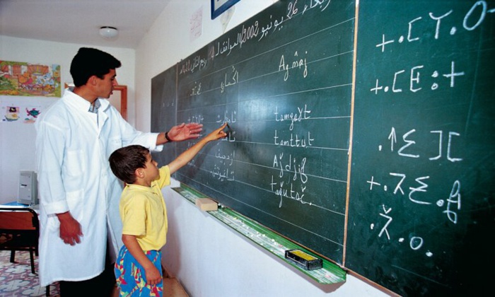 Bientôt une plateforme numérique d'enseignement à distance de l'amazigh