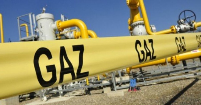 Réglementation gazière : Le nouveau projet de Benali en dernière ligne droite Réglementation gazière : Le nouveau projet de Benali en dernière ligne droite