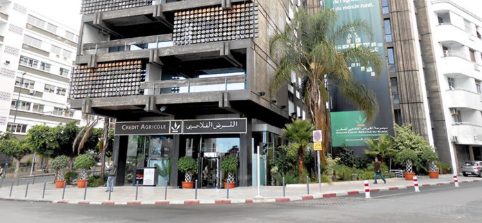 Cannabis : Le Crédit agricole du Maroc met son expertise financière à disposition des acteurs Cannabis : Le Crédit agricole du Maroc met son expertise financière à disposition des acteurs